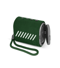 Lade das Bild in den Galerie-Viewer, PEVCS0000103_02