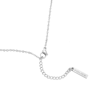 Lade das Bild in den Galerie-Viewer, PEAGN0032001_03