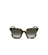 Load image into Gallery viewer, SPLD33 540728_01