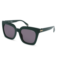 Load image into Gallery viewer, SPLL99 530D80_02