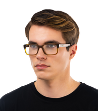 画像をギャラリービューアに読み込む, VPLE36 5201AG_03