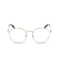 Load image into Gallery viewer, VPLL29 5108FC_01